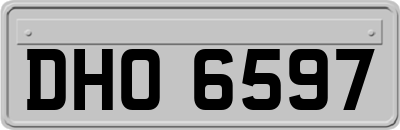 DHO6597