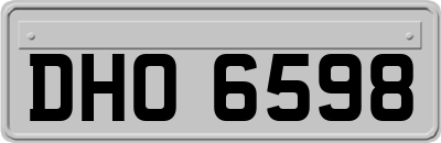 DHO6598