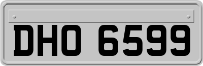 DHO6599