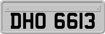 DHO6613