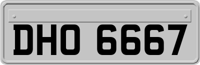 DHO6667