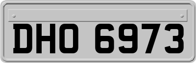 DHO6973