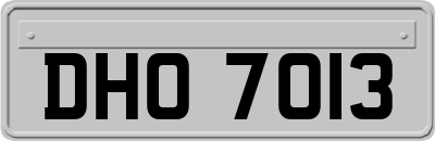 DHO7013