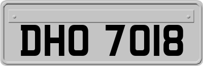 DHO7018