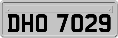 DHO7029