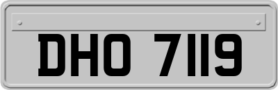 DHO7119