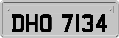 DHO7134