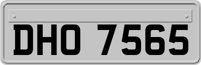 DHO7565
