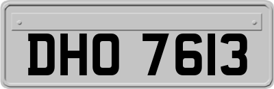 DHO7613