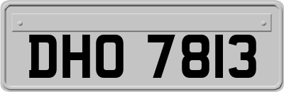 DHO7813