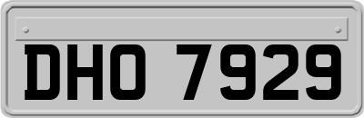 DHO7929