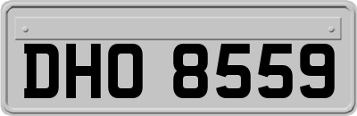 DHO8559
