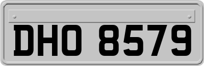 DHO8579