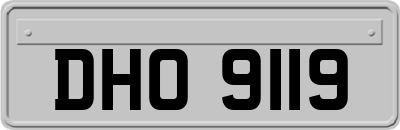 DHO9119