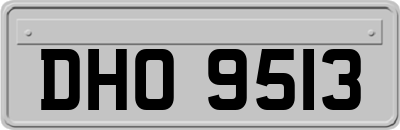 DHO9513