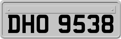 DHO9538
