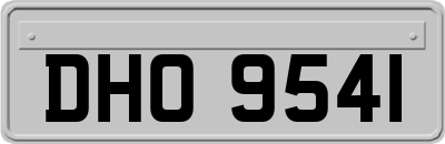 DHO9541