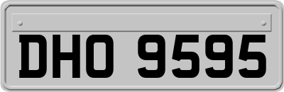 DHO9595