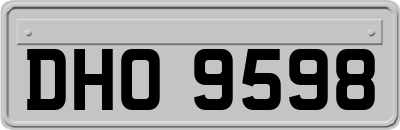 DHO9598