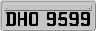 DHO9599