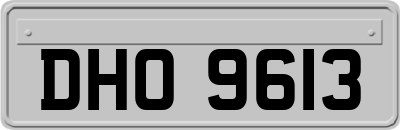 DHO9613