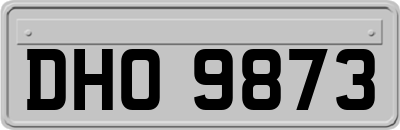 DHO9873