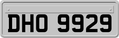 DHO9929