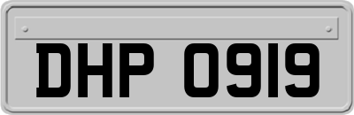 DHP0919