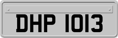 DHP1013