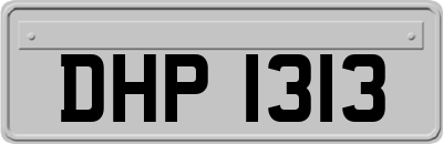 DHP1313