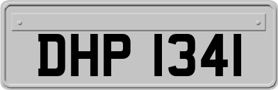 DHP1341