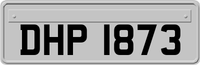 DHP1873