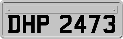 DHP2473