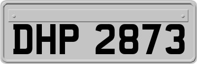 DHP2873