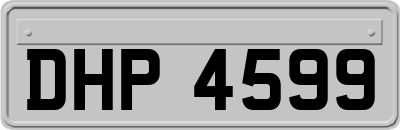 DHP4599