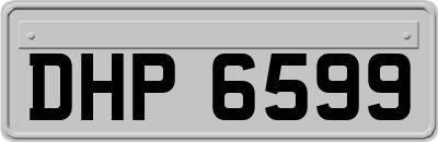 DHP6599