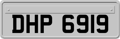 DHP6919