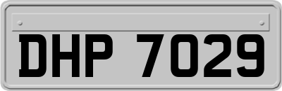 DHP7029