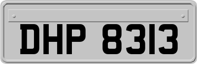 DHP8313