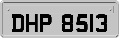 DHP8513