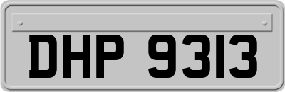 DHP9313