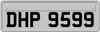 DHP9599