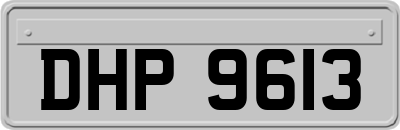 DHP9613