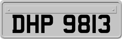DHP9813