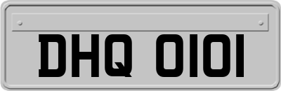DHQ0101