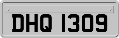 DHQ1309