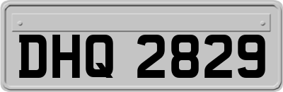 DHQ2829