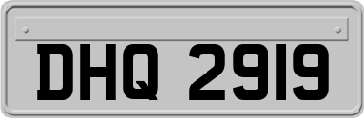 DHQ2919