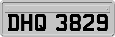 DHQ3829
