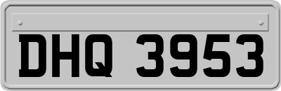 DHQ3953